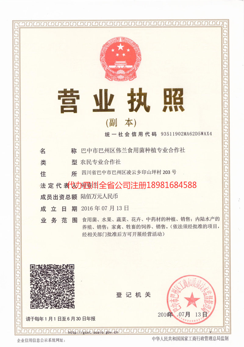 集安集安伟兰食用菌种植专业合作社